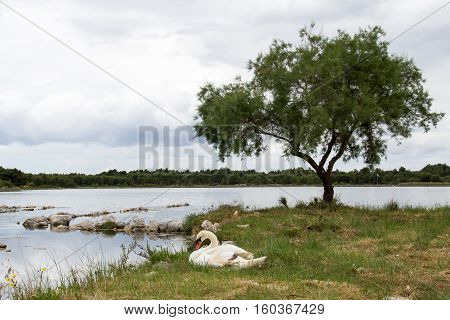Zablace / The village on the Adriatic Sea near Sibenik (Croatia).