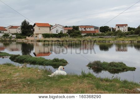 Zablace / The village on the Adriatic Sea near Sibenik (Croatia).