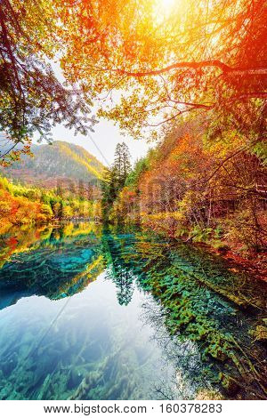 The Five Flower Lake Among Fall Woods, Jiuzhaigou Nature Reserve