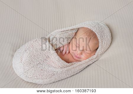 lovely smiling sleeping infant wrapped in gray warm diaper