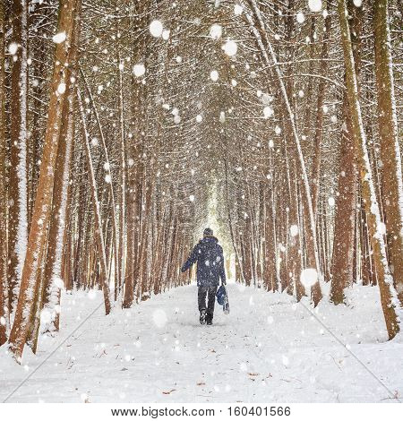 Man walking in winter forest covered by snow during snowstorm