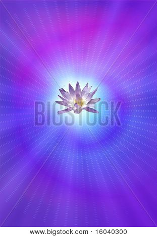 Illumination Lotus