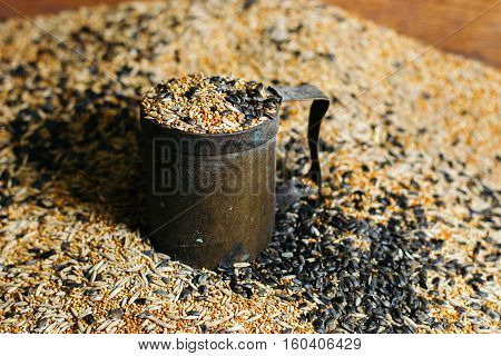 Birdseed grain poured in a vintage mug. Seeds, Grains, Pet Foods, Grains