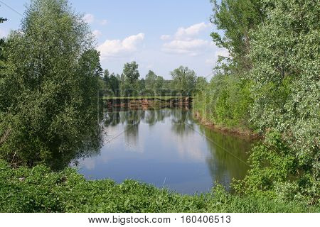 Spring Walk Along The River