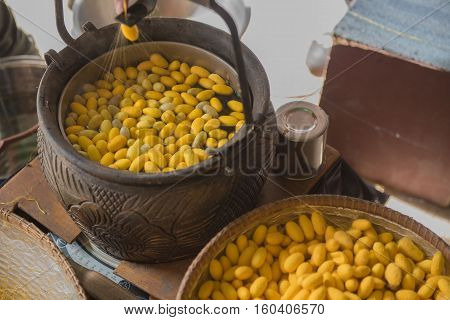 Beautiful yellow color Boiling cocoon silkworm in a pot.