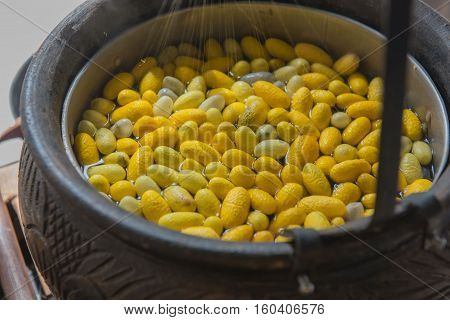 Beautiful yellow color Boiling cocoon silkworm in a pot.