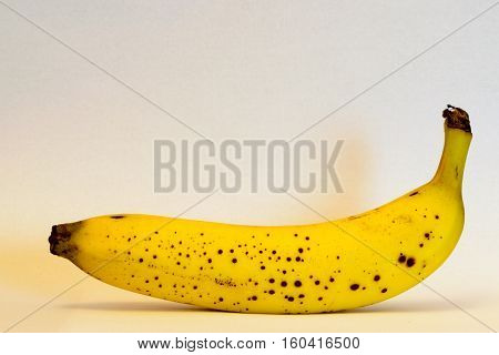Single bio banana photo isolated with white background
