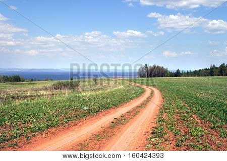 Summer Landscape