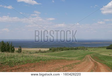 Summer Landscape