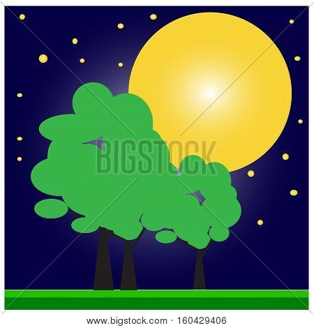 Bare apple tree in the star night