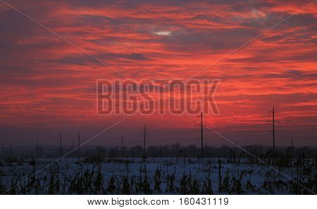 Colorful Purple Sunset