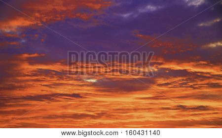 Colorful Purple Sunset