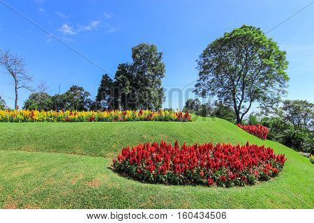 Beautiful flowerbed in botanical garden with blue sky background