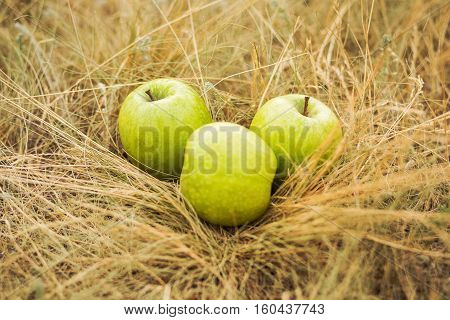 One apple blurred in the foreground and in the background two apples lie on the grass