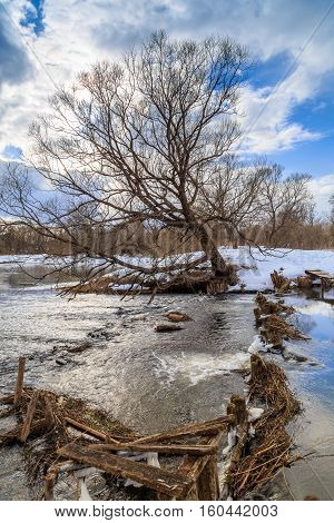 Beaver dam on a small river, winter day