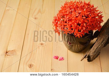 The red ixora in a flowerpot and old wood.