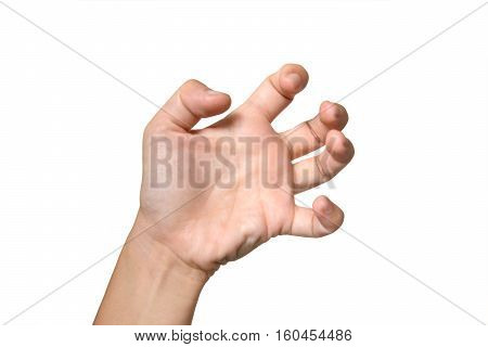 frizzle fingers style with white background,five fingers