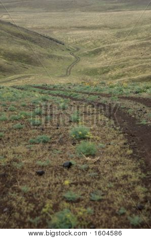 Gravel Road