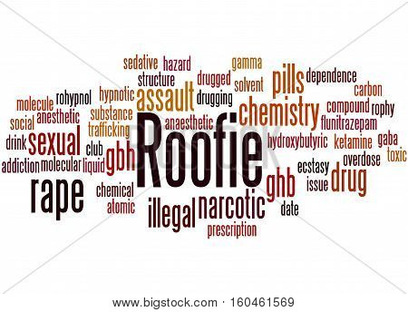 Roofie, Word Cloud Concept 2