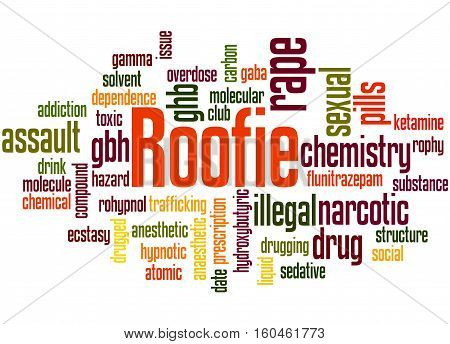 Roofie, Word Cloud Concept 6