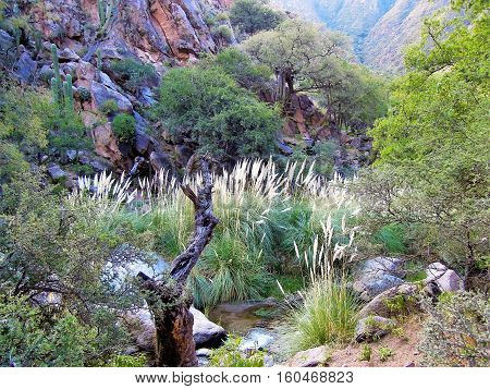 Long shot of a waterfall on the Cascadas del rio Colorado Trek close to Cafayate in Argentina South America