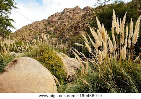 Impressions of the Cascadas del rio Colorado Trek close to Cafayate in Argentina South America