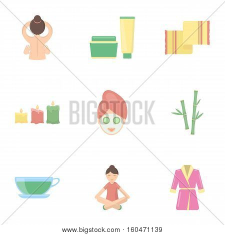 Spa set icons in cartoon style. Big collection of spa vector symbol stock
