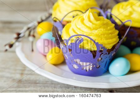 Easter cupcakes with eggs and flaffy willow, wood background