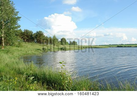 landscape with a sunny summer day at the pond