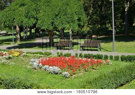 Benches In Public Park