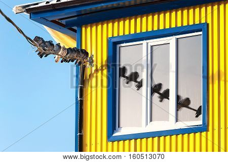 Pigeons on the wire in the cold