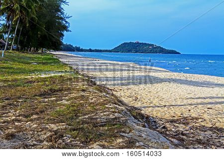 Beautiful sky coconut on beach Ban Krut Prachuap Khirikhun Province Thailand