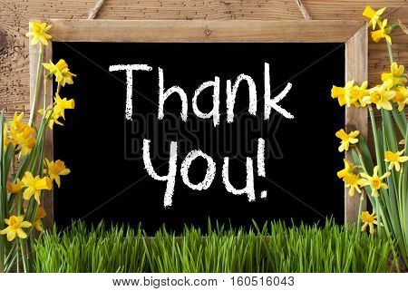 Blackboard With English Text Thank You. Spring Flowers Nacissus Or Daffodil With Grass. Rustic Aged Wooden Background.