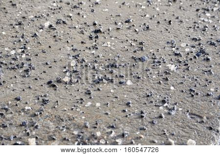 Gravel and coarse salt on a concrete sidewalk