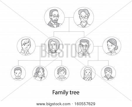 Family tree chart, genealogical tree, family portraits, pedigree thin line style vector