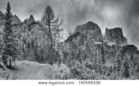 Mountain path through the forest with peak of Sella Group in the background Alta Badia - Dolomiti