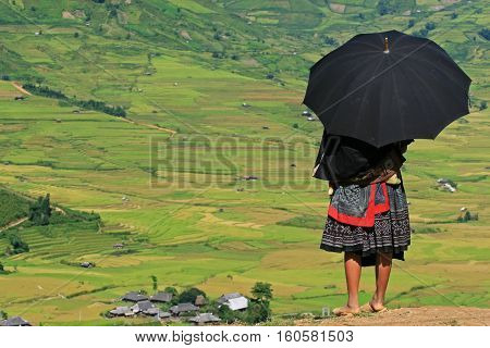 An unidentified Hmong woman standing on the side of a mountain pass and taking a look around a valley of paddy field.