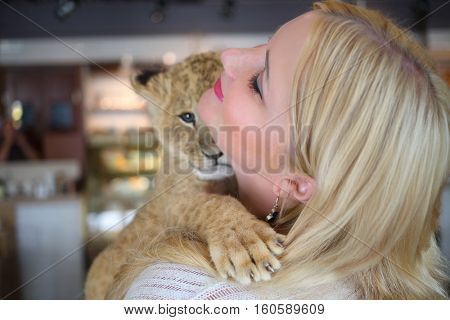 Blonde smiles and holds calf of lion close to her face in cozy cafe, close up