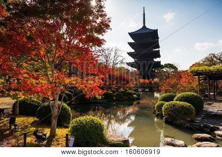 Toji Temple At Autumn, Kyoto