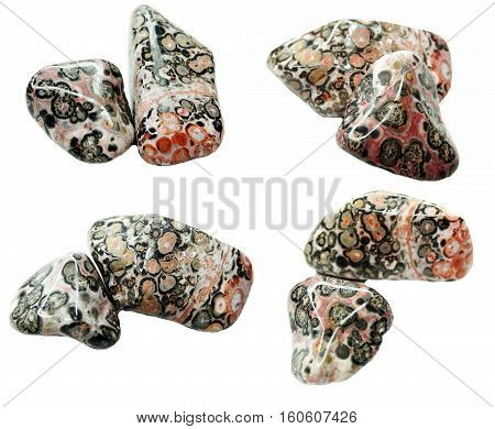 leopard jasper semigem geological crystal collage isolated