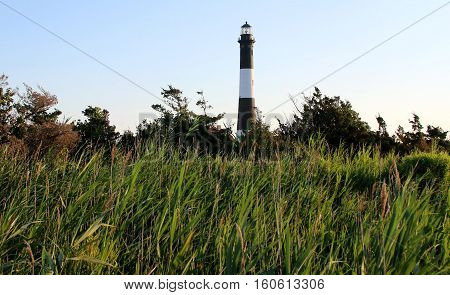 The Fire Island Lighthouse rises up from the green grass