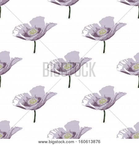 Floral Seamless Pattern