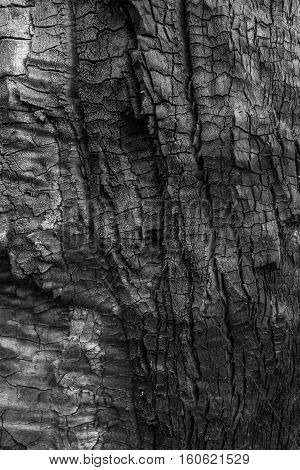 Natural Wood Charcoal Isolated On White, Traditional Charcoal Or Hard Wood Charcoal.