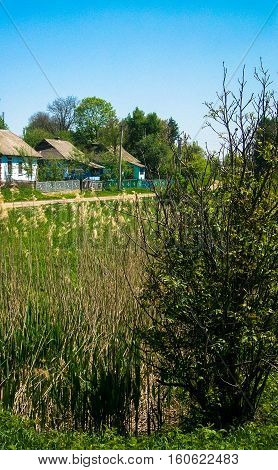 rural landscape houses hidden among the greenery