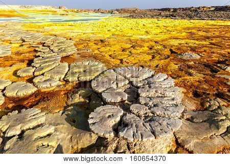 Colorful vulcano Dallol in Danakil dessert, Ethiopia 11.2016