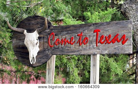 Come to Texas sign with old cow skull.