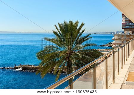 Albufereta at sunny winter day. Costa Blanca Alicante. Spain