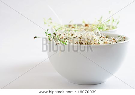 Beansprout ciotole