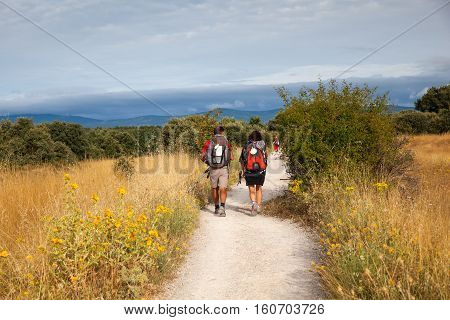 ASTORGA COUNTRYSIDE SPAIN - AUGUST 04: Pilgrimns along the way of St. James on August 03 2016