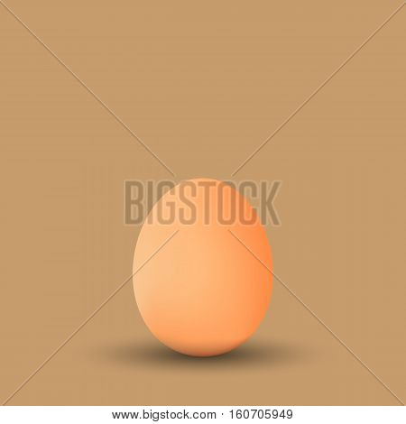 Realistic chicken egg on background vector eps 10
